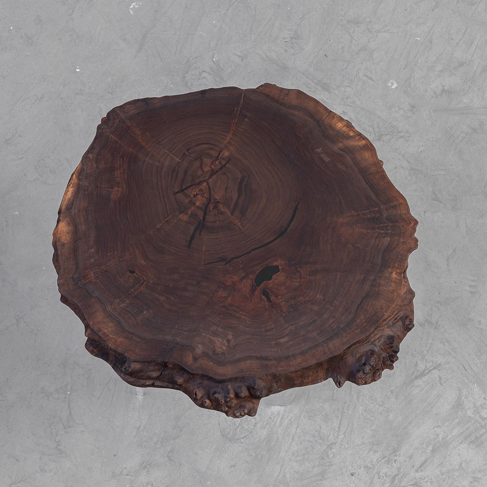 UTT Black Walnut Irregular Edges Table